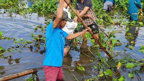 Điện Phương, ra quân vớt bèo, khơi thông dòng chảy trên sông Phú Triêm